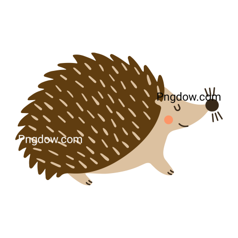 Get Your Free Hedgehog Transparent Background Image Now, (21)