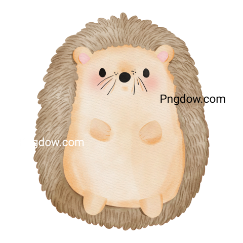 Get Your Free Hedgehog Transparent Background Image Now, (23)