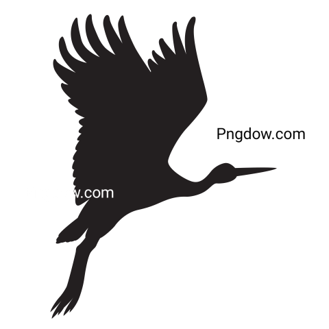 Heron transparent background image for Free , (19)