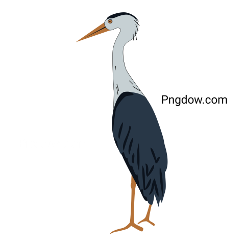 Heron transparent background image for Free , (21)