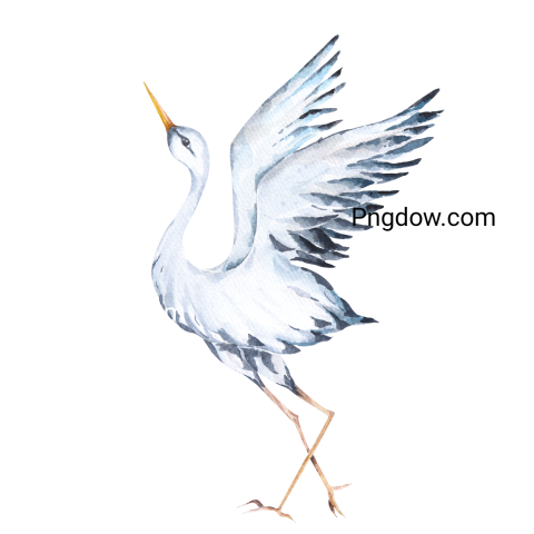 Heron transparent background image for Free , (39)