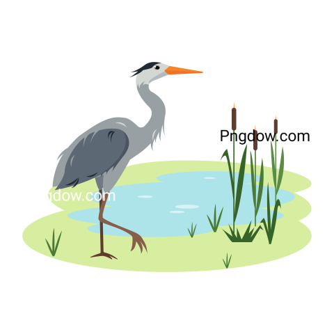 Heron Bird in Wild Nature transparent background image for Free