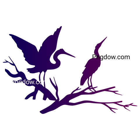 Heron transparent background image for Free , (5)
