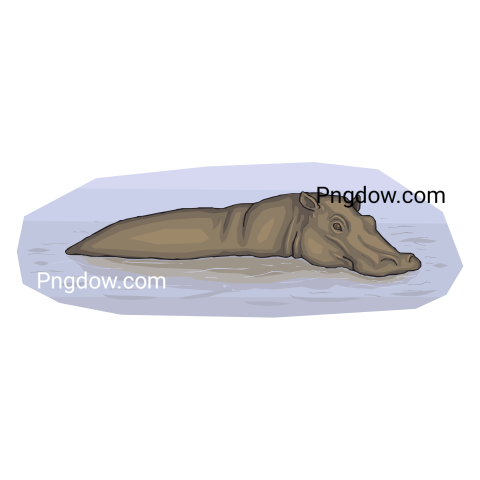 Get a Free Transparent Background Image of a Hippo (3)