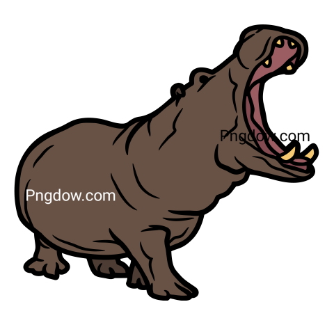 Get a Free Transparent Background Image of a Hippo (13)