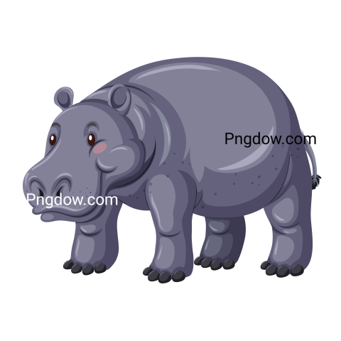 Download Free Hippo Transparent Background Image for Amazing Designs, (8)