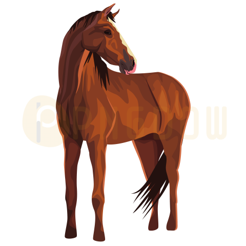 Horse transparent background image for Free, Illustration, (22)