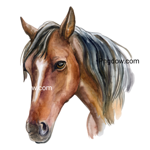 Horse transparent background image for Free, Illustration, (3)