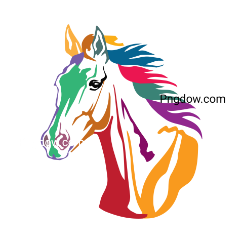 Horse head png transparent background image for Free Download