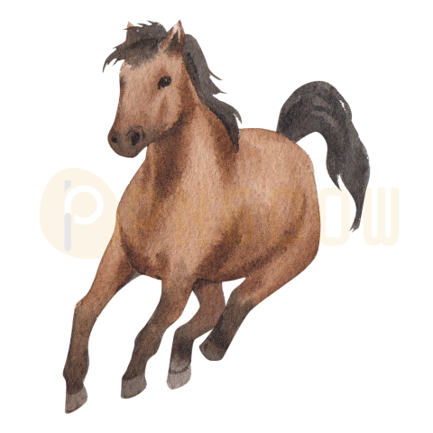 Horse in Watercolor Style transparent background for Free