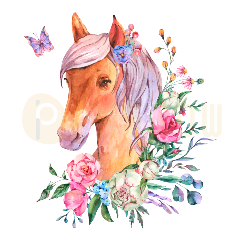 Watercolor Floral Horse transparent background for Free