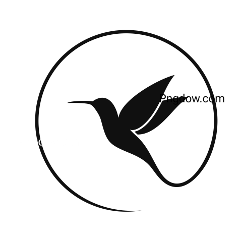 Hummingbird Logo  Isolated Hummingbird on White Background
