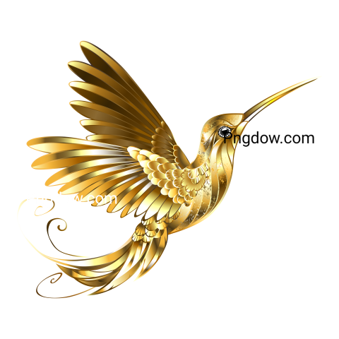 Gold Hummingbird transparent background for Free