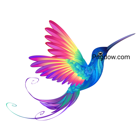 Hummingbird transparent background image for Free, Illustration, (31)