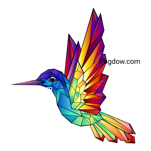 Hummingbird transparent background image for Free, Illustration, (12)