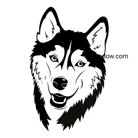 Husky transparent background image for Free, Illustration, (31)