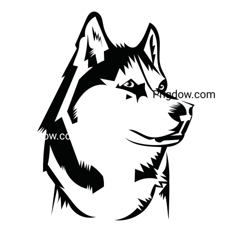 Husky transparent background image for Free, Illustration, (33)