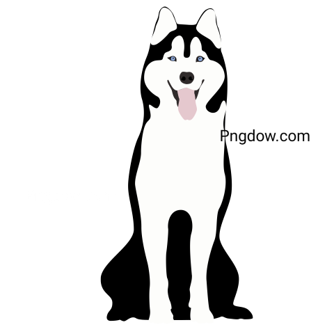 Husky transparent background image for Free, Illustration, (20)
