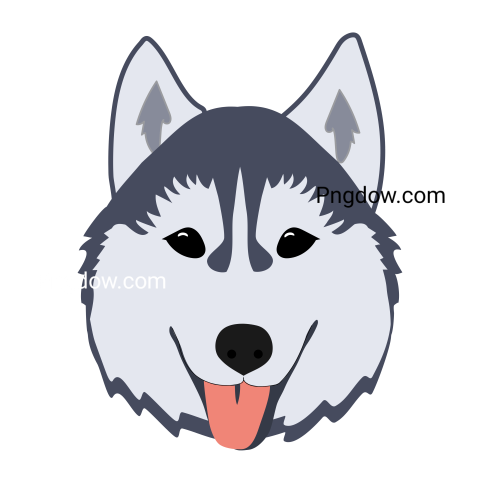 Husky transparent background image for Free, Illustration, (21)