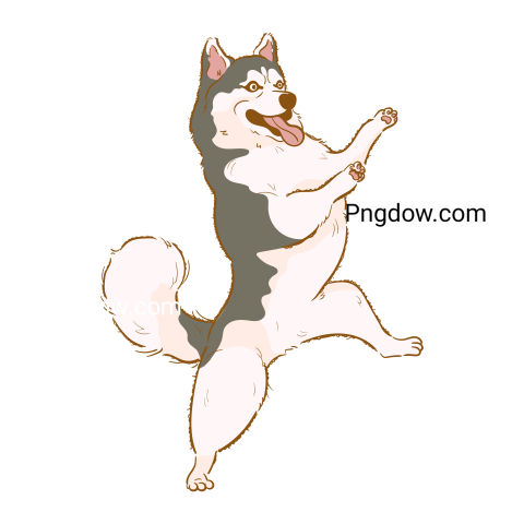 Husky transparent background image for Free, Illustration, (16)