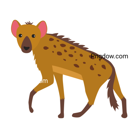 Hyena transparent background image for Free, Illustration, (11)
