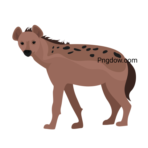 Hyena transparent background image for Free, Illustration, (10)