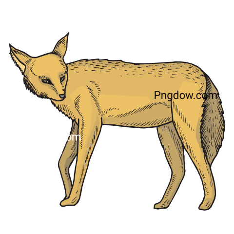Hyena transparent background image for Free, Illustration, (5)