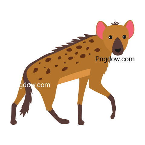 Hyena Animal Illustration PNG transparent background for Free