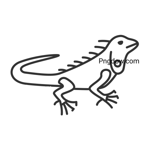 Iguana transparent background image for Free, Illustration, (27)