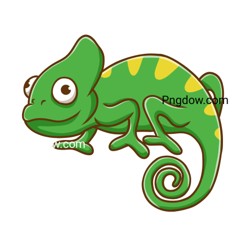 Iguana transparent background image for Free, Illustration, (30)