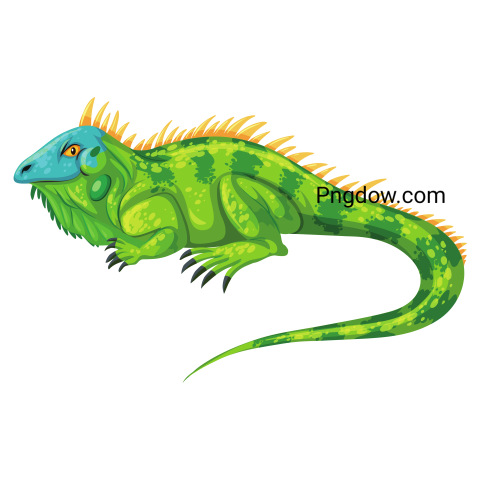 Iguana transparent background image for Free, Illustration, (20)