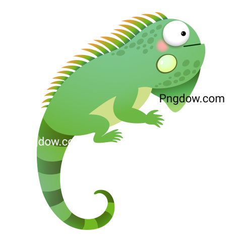 Iguana transparent background image for Free, Illustration, (22)