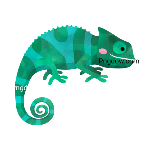 Iguana transparent background image for Free, Illustration, (28)