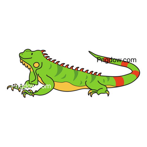 Iguana transparent background image for Free, Illustration, (11)