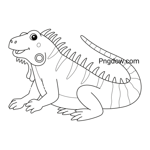 Iguana transparent background image for Free, Illustration, (13)