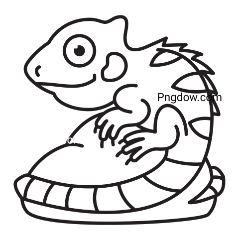 Iguana transparent background image for Free, Illustration, (18)