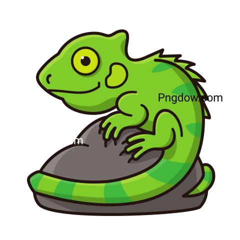 Iguana transparent background image for Free, Illustration, (17)