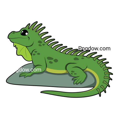 Iguana transparent background image for Free, Illustration, (16)