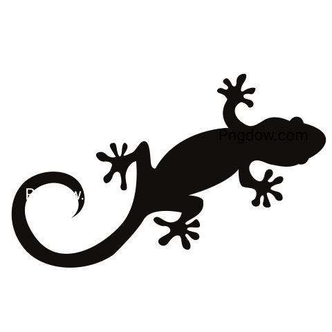 Gecko Logo Vector Illustration transparent Background