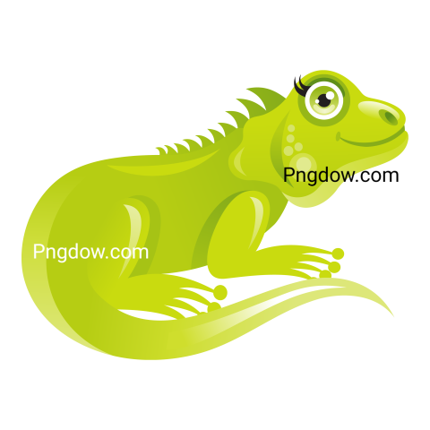 Cartoon iguana lizard transparent Background for free