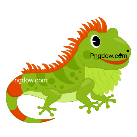 Iguana Animal Illustration transparent Background for free