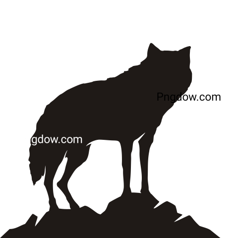Jackal, coyote transparent background image for Free, Illustration, (13)