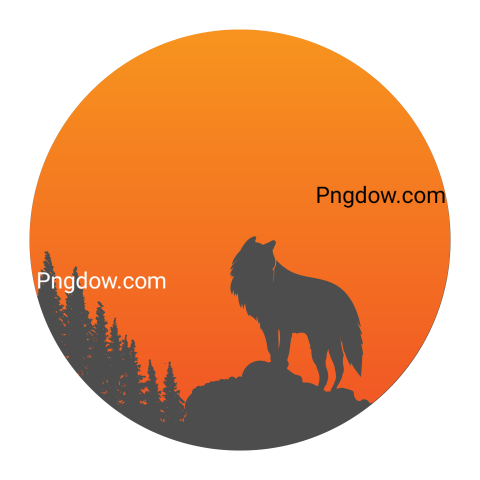 Jackal, coyote transparent background image for Free, Illustration, (7)