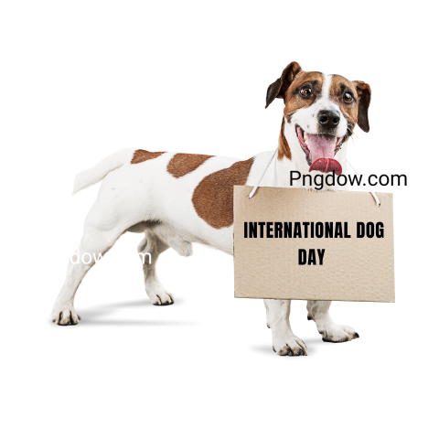 international dog day transparent Background