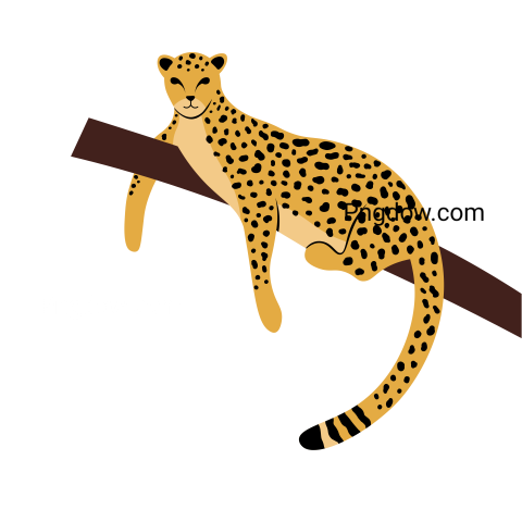Hand Drawn Leopard transparent Background for free