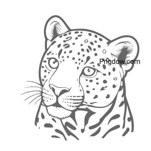 Jaguar png transparent Background image free, (2)