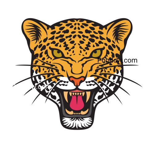 Jaguar png transparent Background image free, (3)