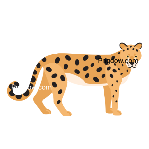 Jaguar png transparent Background image free, (15)