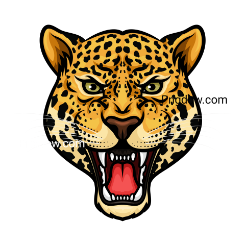 Jaguar png transparent Background image free, (8)