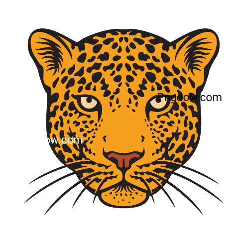 Jaguar png transparent Background image free, (33)